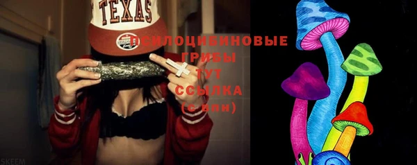 дмт Нягань