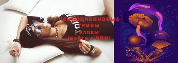 твердый Няндома