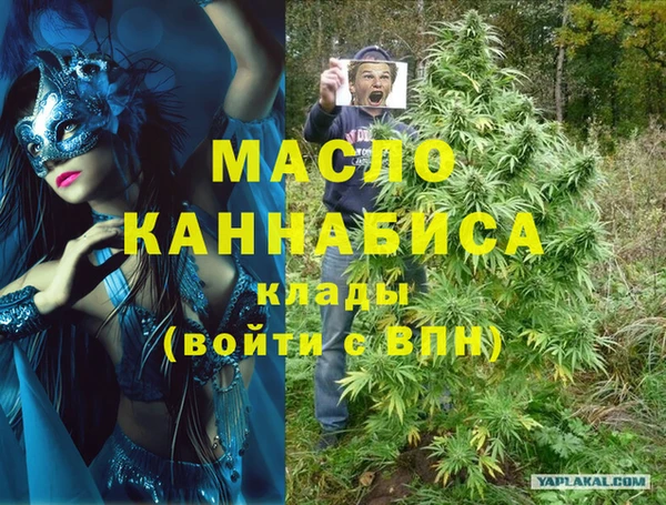 дмт Нягань
