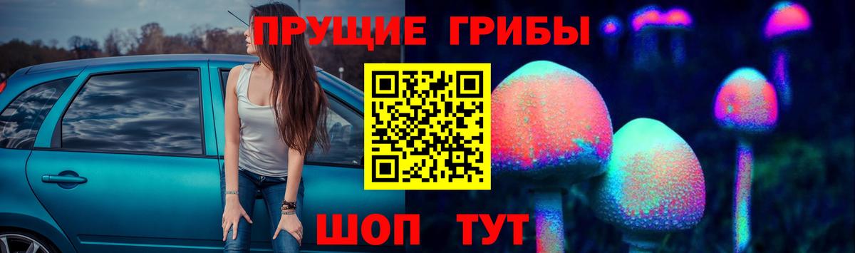 Ангарск  Галлюциногенные грибы Psilocybine cubensis  Вход с VPN 